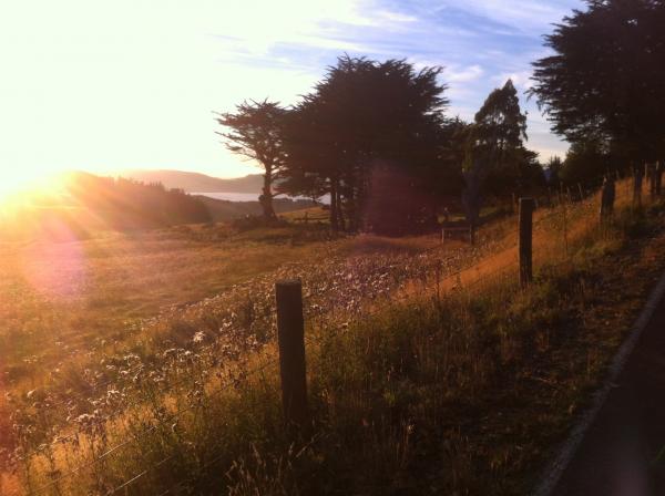 3 E Bike view March