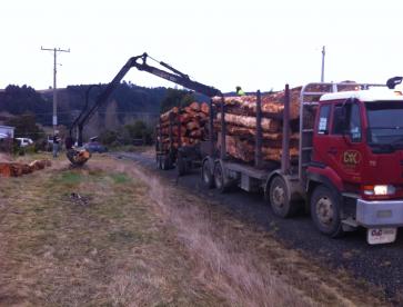 Unloading Firewood