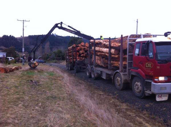 Unloading Firewood