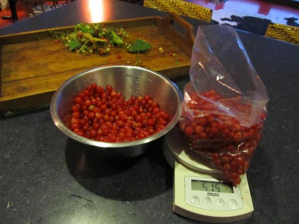 Food blog for Cuppa tea 2.doc2